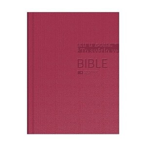 Bible ČEP DT-velký formát, pevná vazba, vínová /1260/