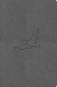 Bible21 – kapesní - pepper