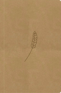 Bible21 – kapesní - honey