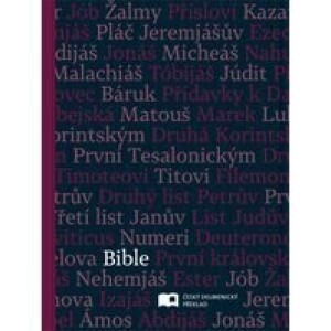 Bible ČEP DT střední formát, pevná vazba, šedá s písmeny /1270/