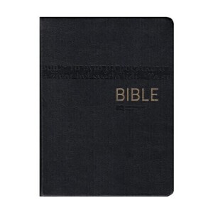Bible ČEP DT-střední formát, luxus /1273/